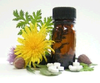 Herbal Medication Image